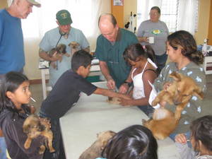 Nov 2010 spay day
