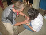 Spay-neuter clinic nov 2010