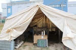 from Suze spay-neuter set up sept 2010