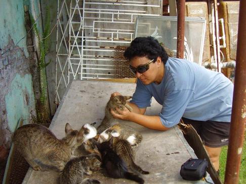 Jamaica cats6 for newsletter Jamaica cats6 for newsletter